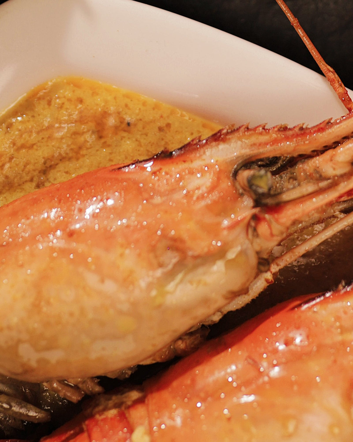 Close-up of a large prawn in creamy, golden malaikari gravy